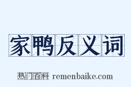 家鸭反义词是什么意思的图片